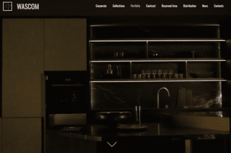 Illegal Payment Processor Wascom Group