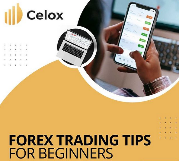 Celox broker scam targets beginners and young people