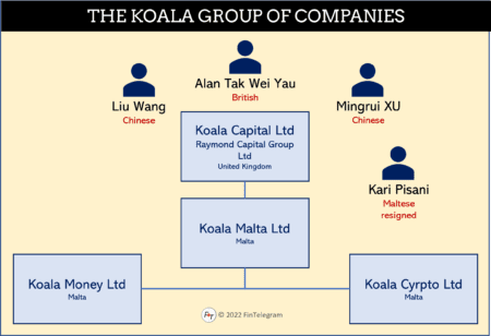 Maltese -Chinese Koala Group