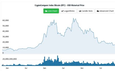 ECB sees BTC on the road to irrelevance