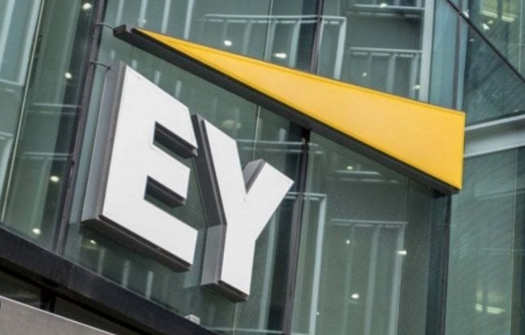 Wirecard Drama Continues: Shareholders Take Legal Action Against EY in ...